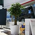Unser Messestand - liebevoll dekoriert.