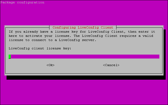 License key prompt