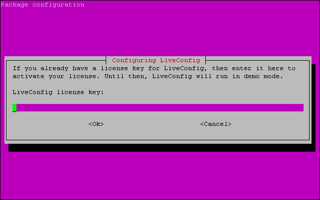 License key prompt